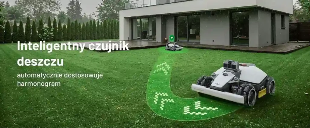 Sprawdź cenę i zamów 🛍️